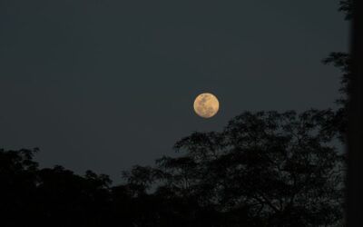 La Luna nunca cambia